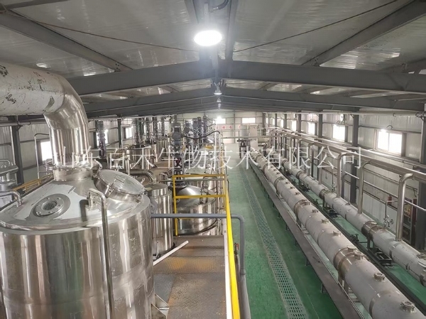 新疆连续逆流提取生产线